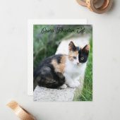 Carte De Correspondance Opera Phantom Chat (Devant/Arrière en situation)