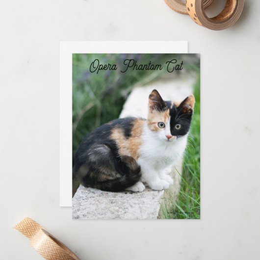 Carte De Correspondance Opera Phantom Chat (Devant/Arrière en situation)