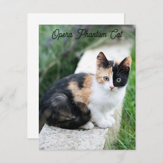 Carte De Correspondance Opera Phantom Chat (Devant / Derrière)