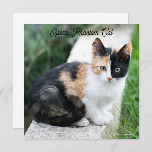 Carte De Correspondance Opera Phantom Chat (Devant / Derrière)