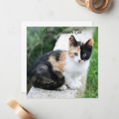 Carte De Correspondance Opera Phantom Chat (Devant/Arrière en situation)