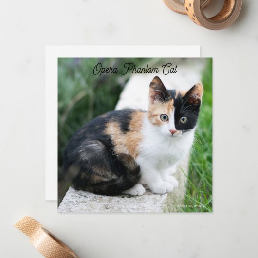 Carte De Correspondance Opera Phantom Chat (Devant/Arrière en situation)
