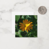 Carte De Correspondance Orange Pot Marigold Flower (Calendula officinalis) (Devant/Arrière en situation)