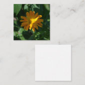 Carte De Correspondance Orange Pot Marigold Flower (Calendula officinalis) (Devant / Derrière)