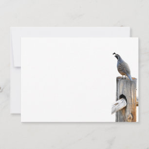 Carte De Correspondance Papier photo Valley Quail