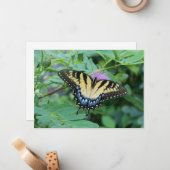 Carte De Correspondance Papillon (Devant/Arrière en situation)