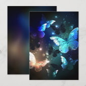 Carte De Correspondance Papillon de nuit (Devant / Derrière)