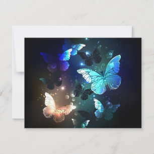 Carte De Correspondance Papillon de nuit