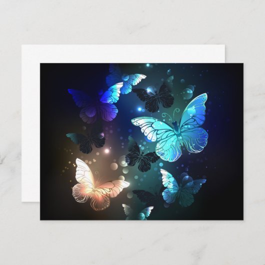 Carte De Correspondance Papillon de nuit (Devant / Derrière)