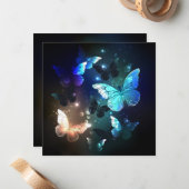 Carte De Correspondance Papillon de nuit (Devant/Arrière en situation)