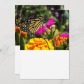 Carte De Correspondance Papillon Monarque sur Marigold rose (Devant / Derrière)