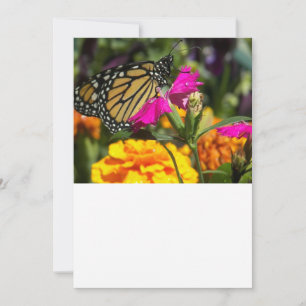 Carte De Correspondance Papillon Monarque sur Marigold rose