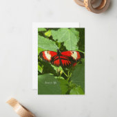 Carte De Correspondance Papillon orange et blanc (Devant/Arrière en situation)