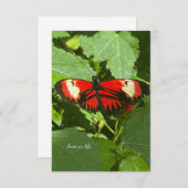 Carte De Correspondance Papillon orange et blanc (Devant / Derrière)