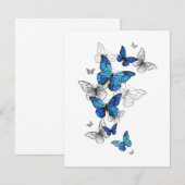 Carte De Correspondance Papillons volants bleus Morpho (Devant / Derrière)