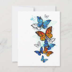 Carte De Correspondance Papillons volants Morpho et Monarch