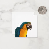 Carte De Correspondance Parrot Notes (Devant/Arrière en situation)