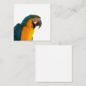 Carte De Correspondance Parrot Post-it Notes (Devant / Derrière)