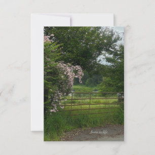 Carte De Correspondance Paysage