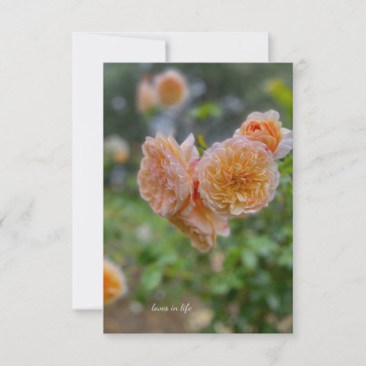 Carte De Correspondance Peach Roses (Devant)