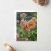 Carte De Correspondance Peach Roses (Devant/Arrière en situation)