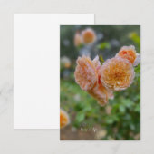 Carte De Correspondance Peach Roses (Devant / Derrière)