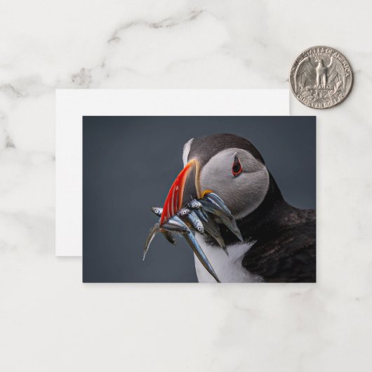 Carte De Correspondance Pêche (Devant/Arrière en situation)