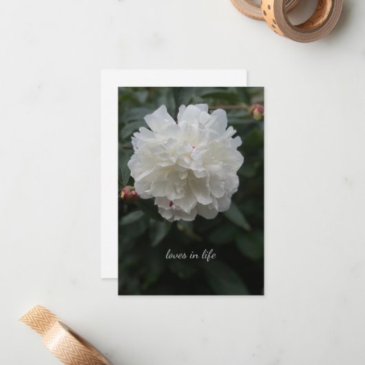 Carte De Correspondance Peine blanche complète (Devant/Arrière en situation)