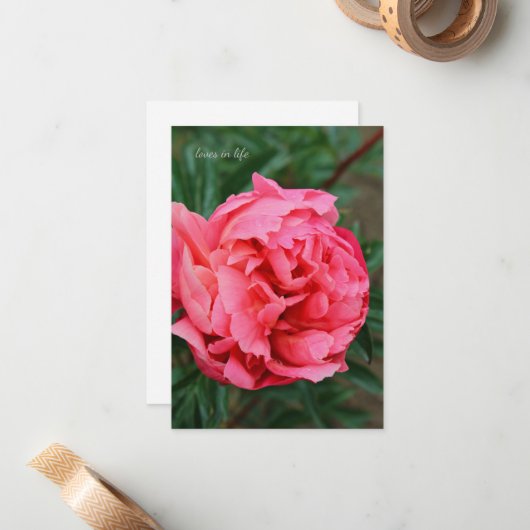 Carte De Correspondance Peine rose complète (Devant/Arrière en situation)