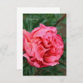 Carte De Correspondance Peine rose complète (Devant / Derrière)