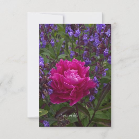 Carte De Correspondance Peony et Sage (Devant)