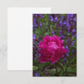 Carte De Correspondance Peony et Sage (Devant / Derrière)