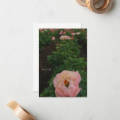 Carte De Correspondance Peony rose indépendant (Devant/Arrière en situation)