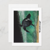 Carte De Correspondance "Percée" (Devant / Derrière)