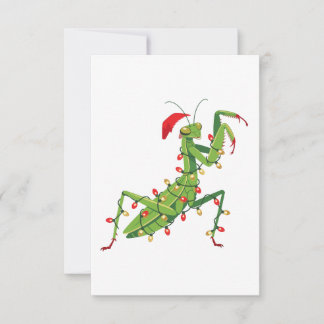 Carte De Correspondance Père Noël à la mante religieuse Cadeau de collecti