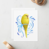 Carte De Correspondance Perruche jaune (Devant/Arrière en situation)