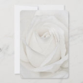 Carte De Correspondance Pétales de rose blanche (Devant)