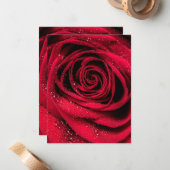 Carte De Correspondance Pétales roses 1 (Devant/Arrière en situation)