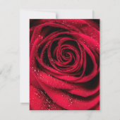 Carte De Correspondance Pétales roses 1 (Dos)