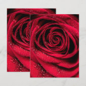 Carte De Correspondance Pétales roses 1 (Devant / Derrière)