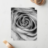 Carte De Correspondance Pétales roses 5 (Devant/Arrière en situation)