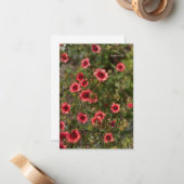 Carte De Correspondance Petites fleurs orange (Devant/Arrière en situation)