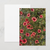 Carte De Correspondance Petites fleurs orange (Devant / Derrière)