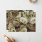 Carte De Correspondance Photo Cholla Cactus (Devant/Arrière en situation)