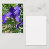 Carte De Correspondance Photographie de fleur d'iris pourpre  (Devant / Derrière)