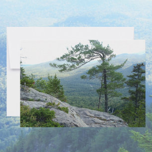 Carte De Correspondance Pin sylvestre – Photo de la résilience de la natur