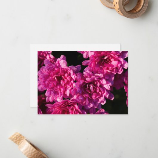 Carte De Correspondance Pink Fall Mums (Devant/Arrière en situation)