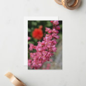 Carte De Correspondance Pink Heuchera (Devant/Arrière en situation)