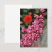Carte De Correspondance Pink Heuchera (Devant / Derrière)
