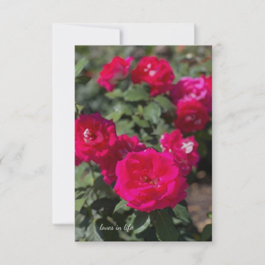 Carte De Correspondance Pinkish, Roses rouges (Devant)